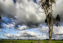 巴黎圣日耳曼积极备战法国杯赛，备受关注