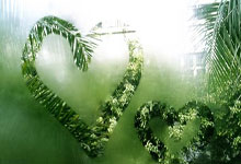 曼联主教练引领球队成功迎战欧国联比赛