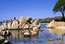 乌迪内斯球员表现神勇，成为焦点