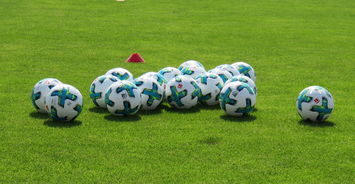 同乐城网站-沙尔克04阵容大调整 主帅战术下一城，沙尔克04换帅